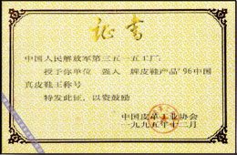【3515強人】96真皮鞋王